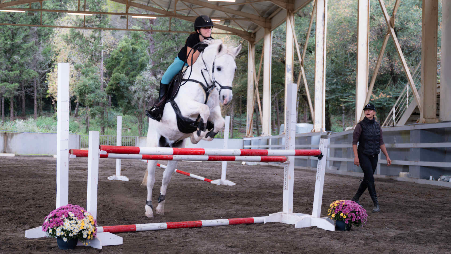 Private Riding Lessons