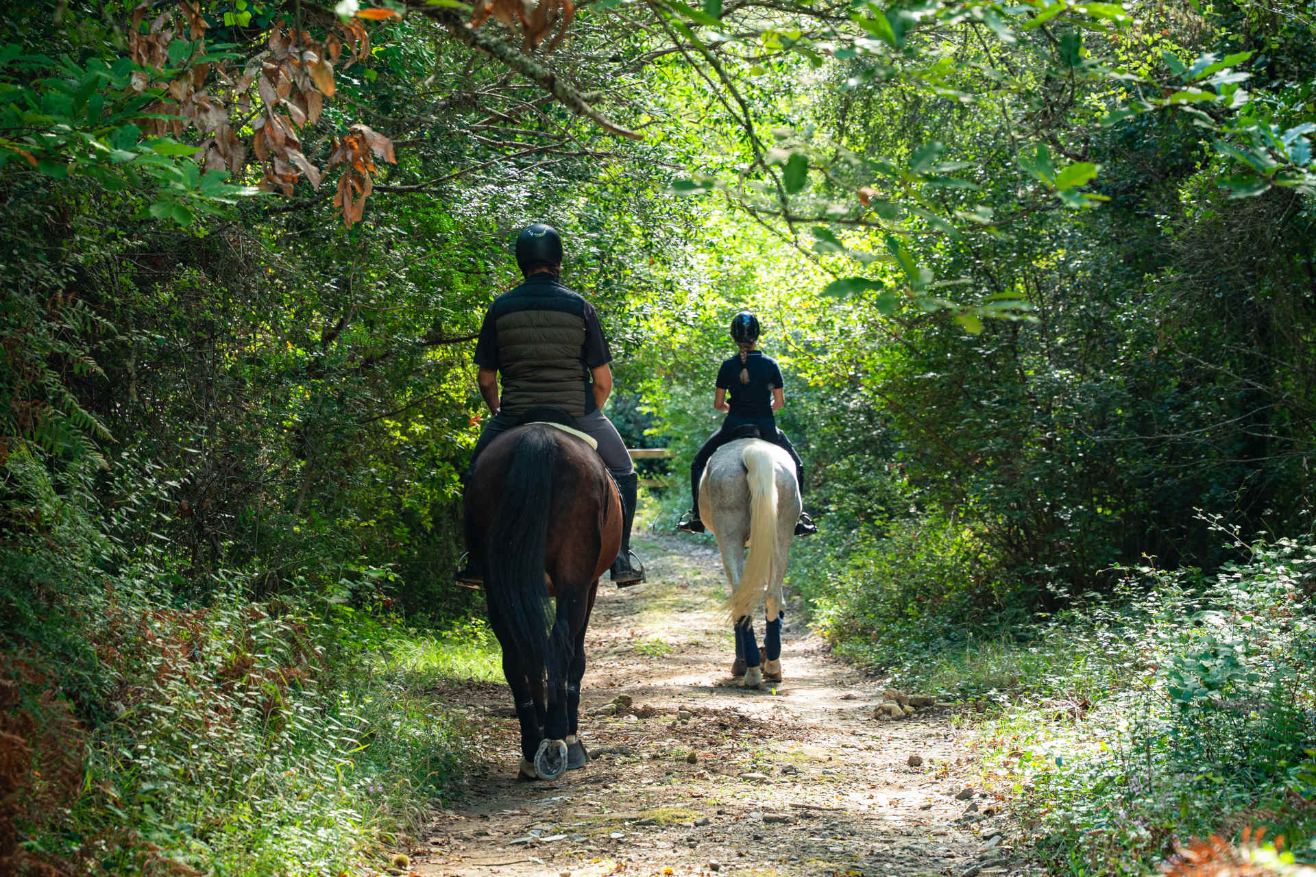 Outdoor Horseback Riding Experiences